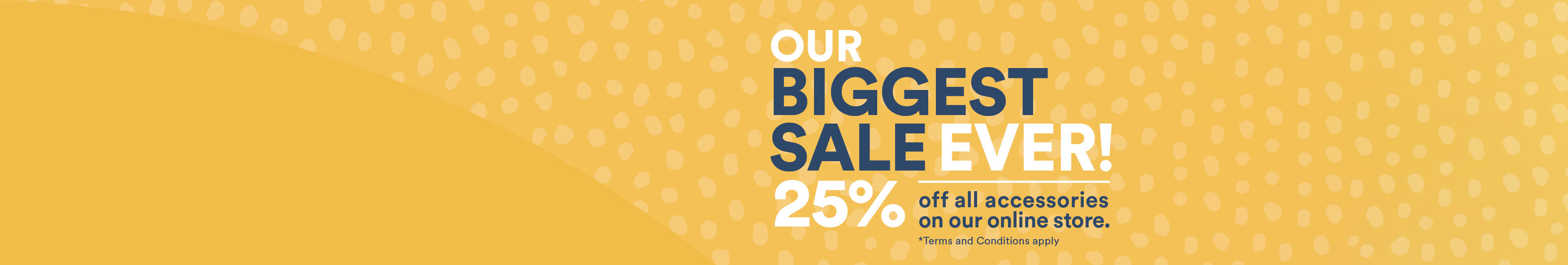 ANZ FY25 sale