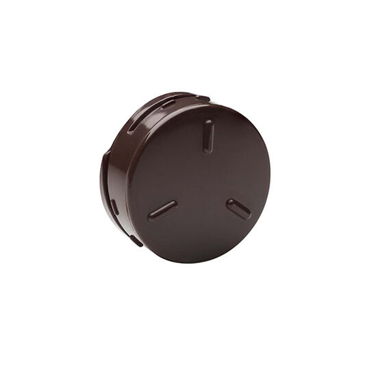 Cochlear Magnet