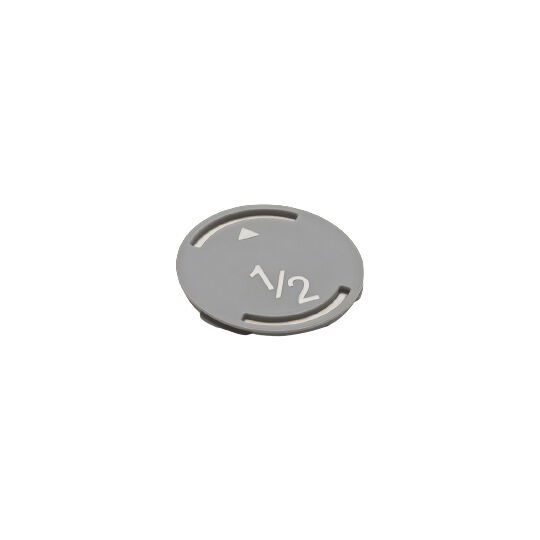 Cochlear Magnet