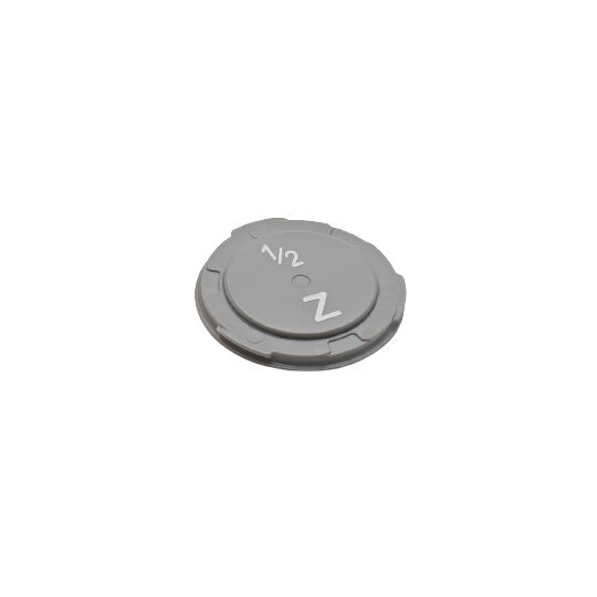 Cochlear Magnet