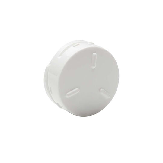 Cochlear Magnet