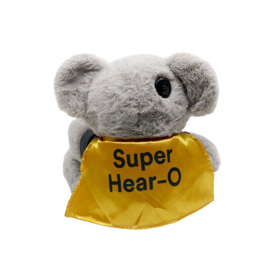 Kaci Koala