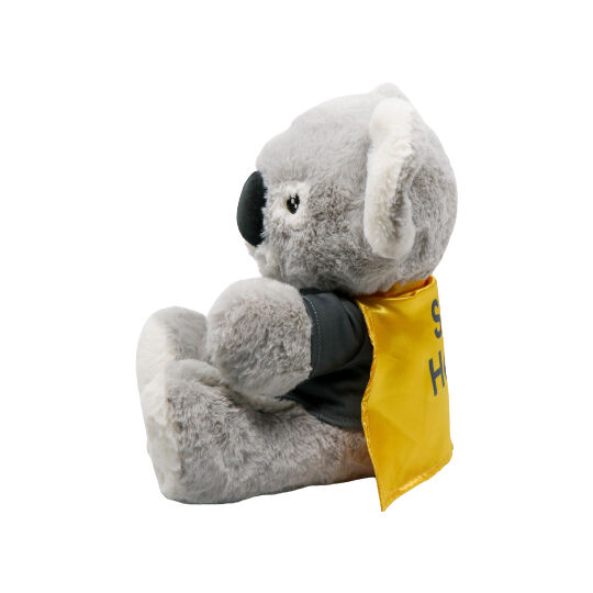 Kaci Koala