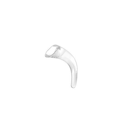 Cochlear Earhook