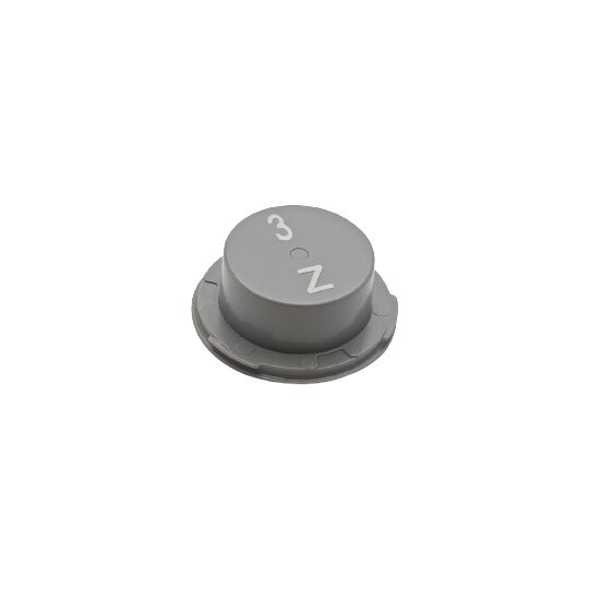 Cochlear Magnet