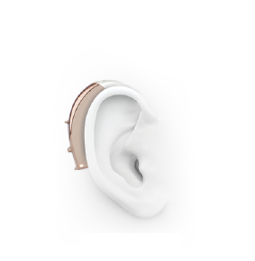 Hearing aid